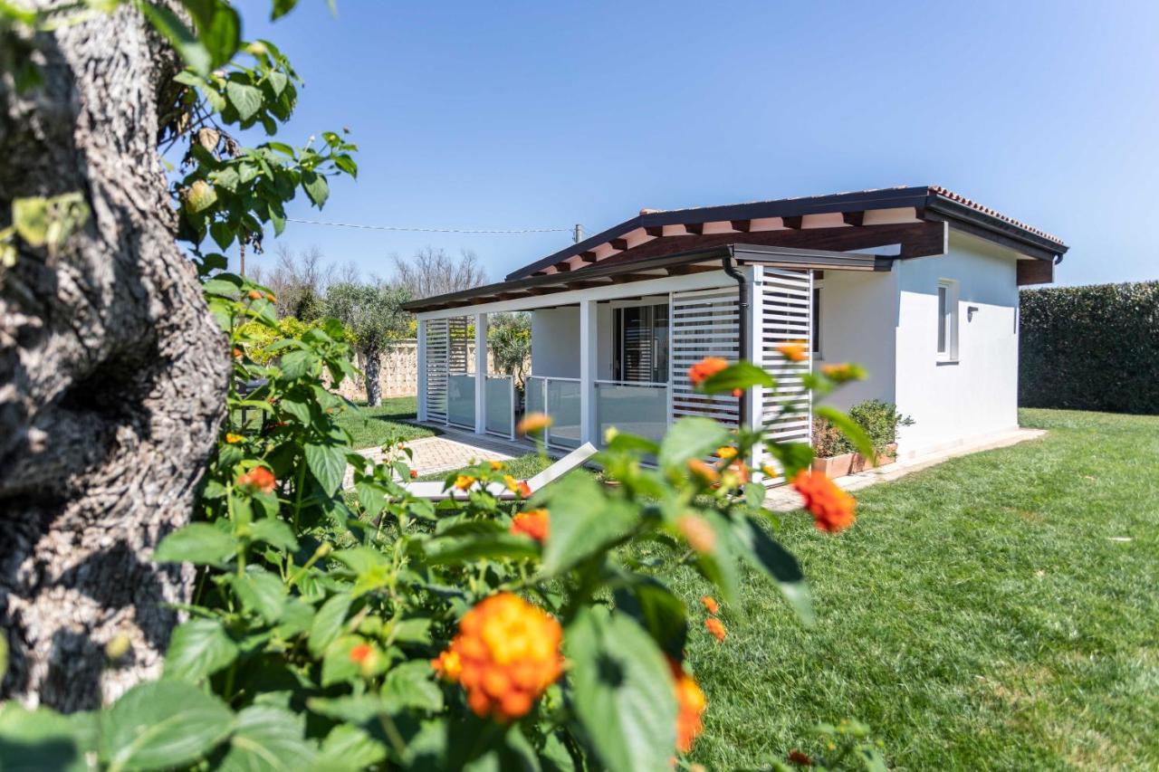 House In Con Piscina